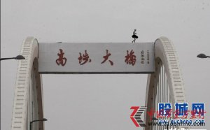 �Գ������ ���������ű�Ȱ�£���ͼ��