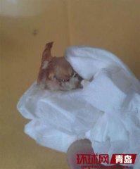 �������ɳԳ�ˮ�� ר�ҳ�ˮ����������ϴ