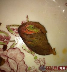 �����㱻������Ʒ�ʺ���ɫ ���ҳ�����