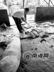 ����˽�׵��ղ�ǧ�ﲡ������ ������Ƶ꼰ѧУ