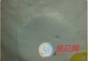 ޳Ӥ̷ ѳ̫ӵ